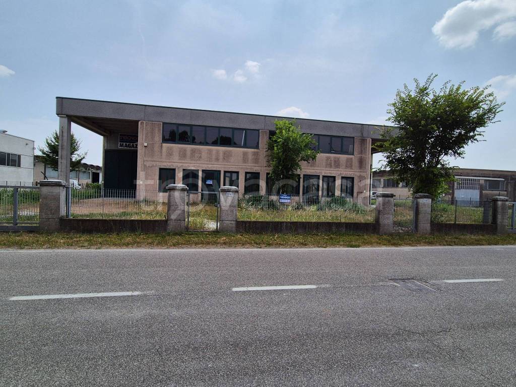 immagine annuncio 1 di 14