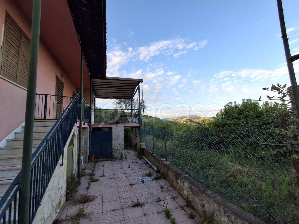 immagine annuncio 11 di 14