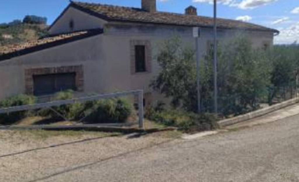 immagine annuncio 9 di 11