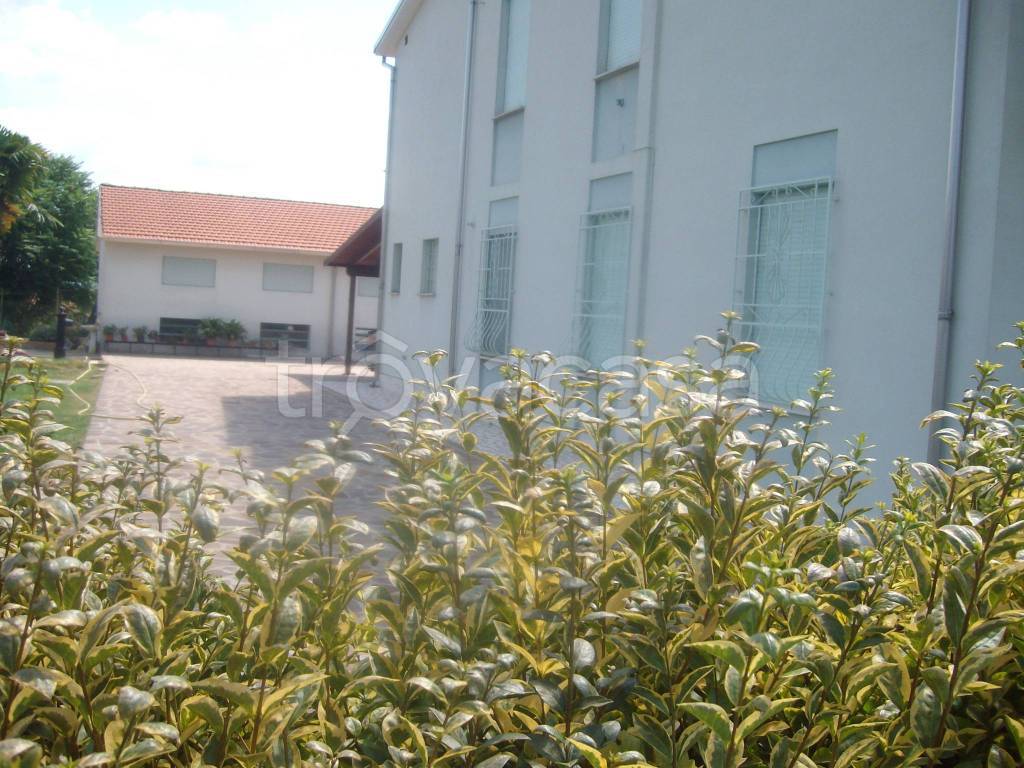 immagine annuncio 5 di 9