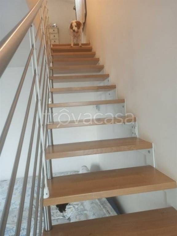 immagine annuncio 10 di 14