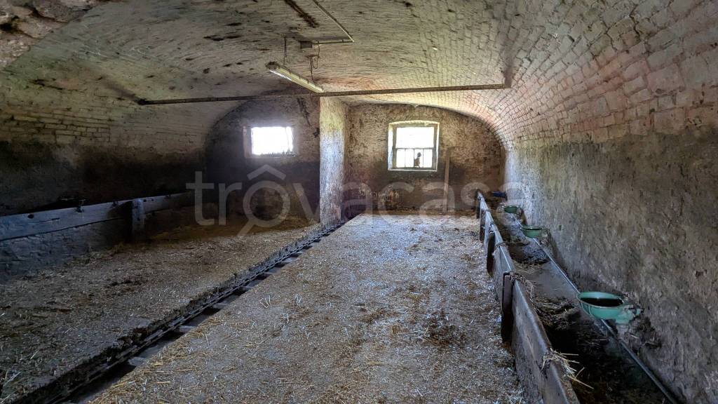 immagine annuncio 7 di 14