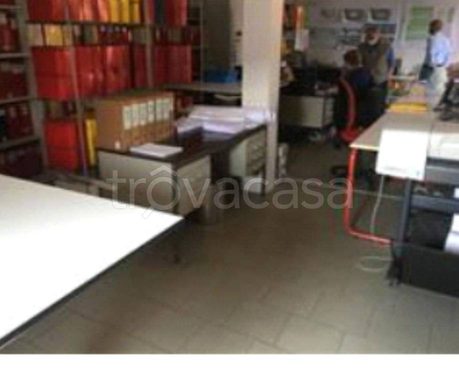 immagine annuncio 5 di 13