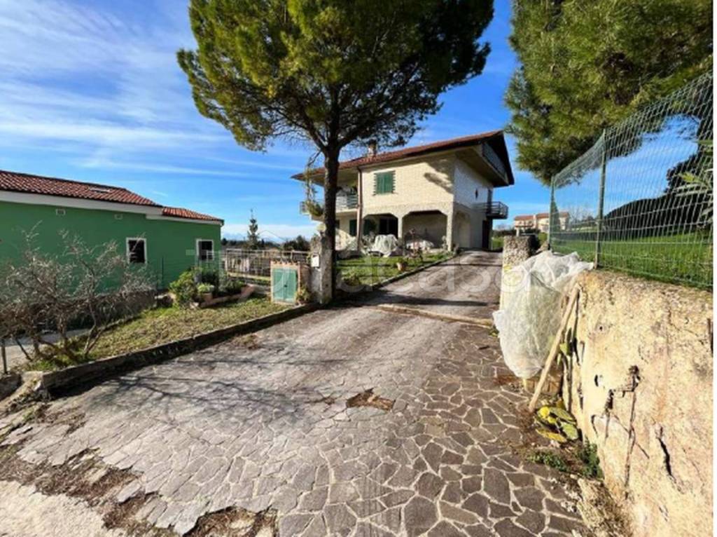 immagine annuncio 12 di 13