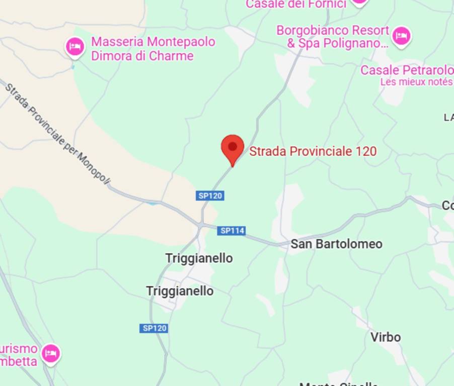 immagine annuncio 5 di 11