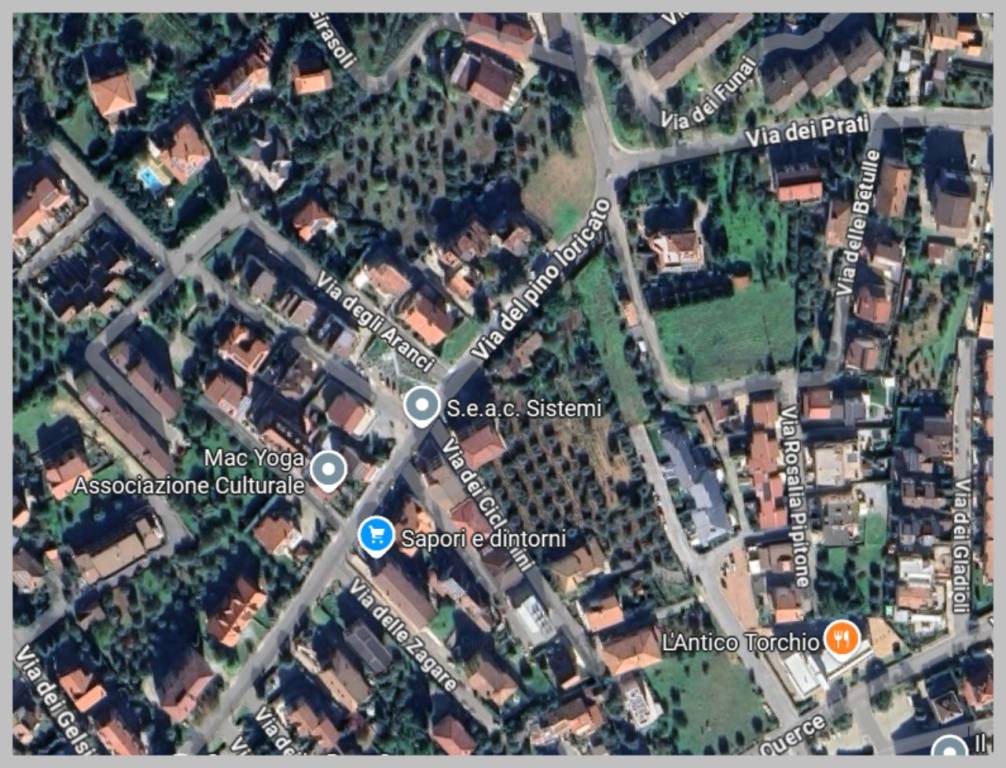 immagine annuncio 11 di 15