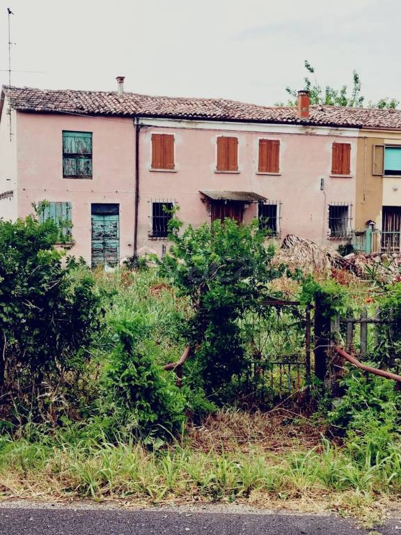 immagine annuncio 3 di 8