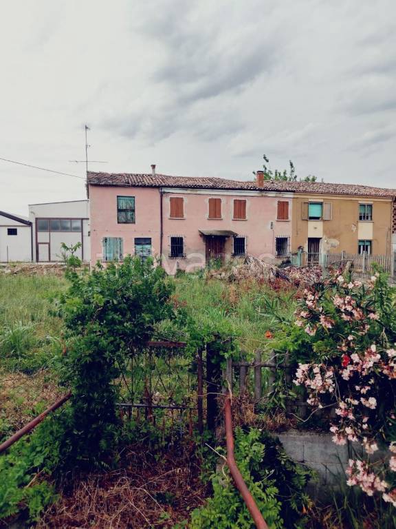 immagine annuncio 4 di 8