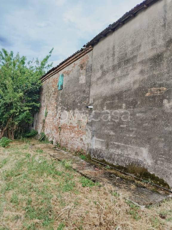 immagine annuncio 7 di 8