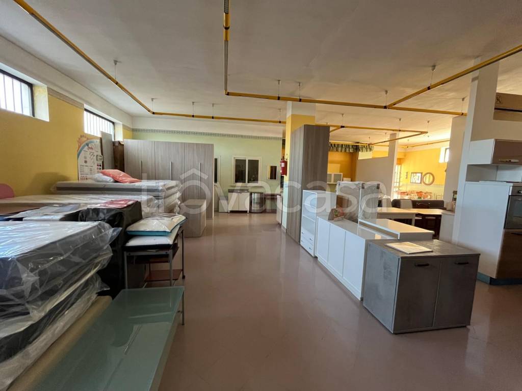 immagine annuncio 1 di 7