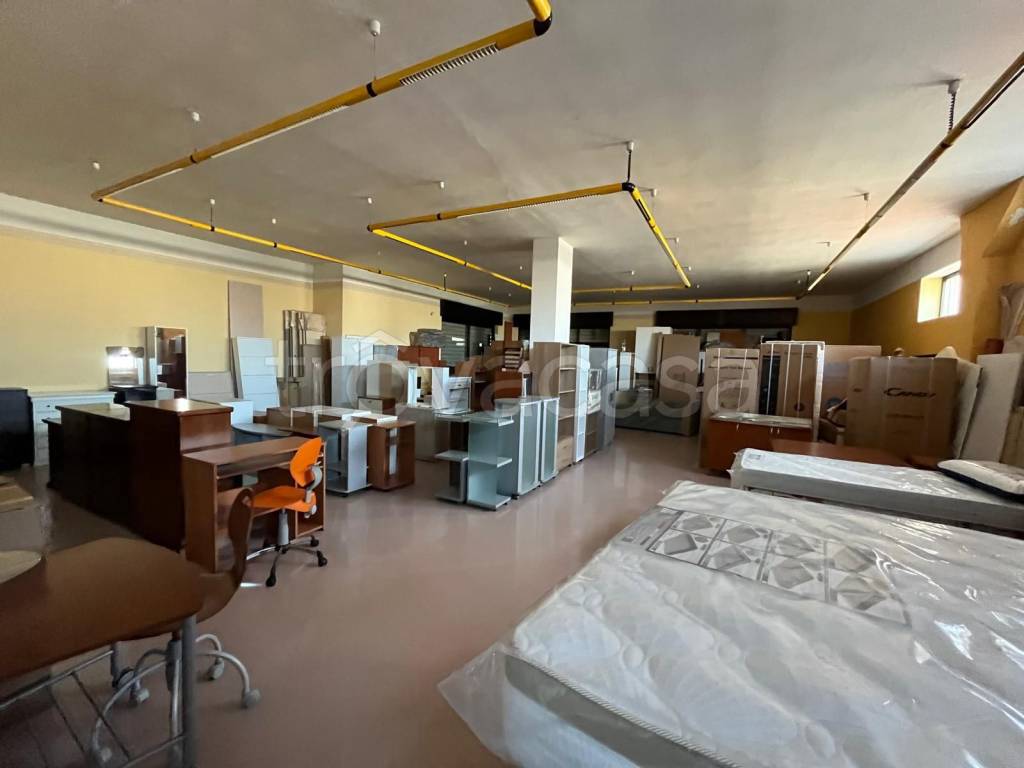 immagine annuncio 2 di 7