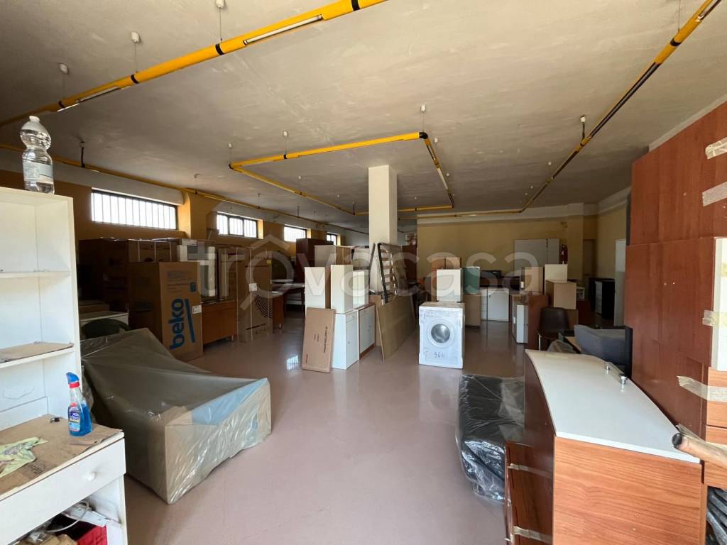 immagine annuncio 3 di 7