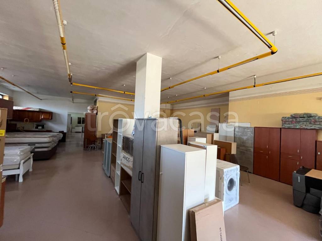 immagine annuncio 4 di 7