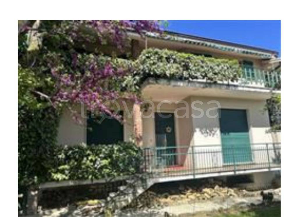 immagine annuncio 4 di 13