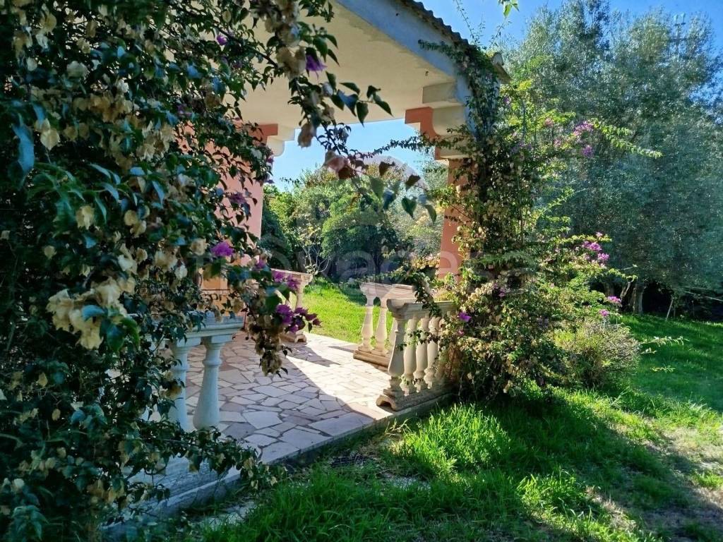 immagine annuncio 1 di 7