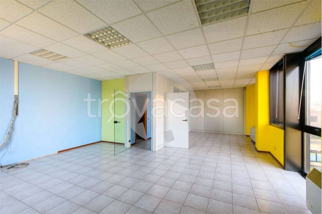 immagine annuncio 9 di 14