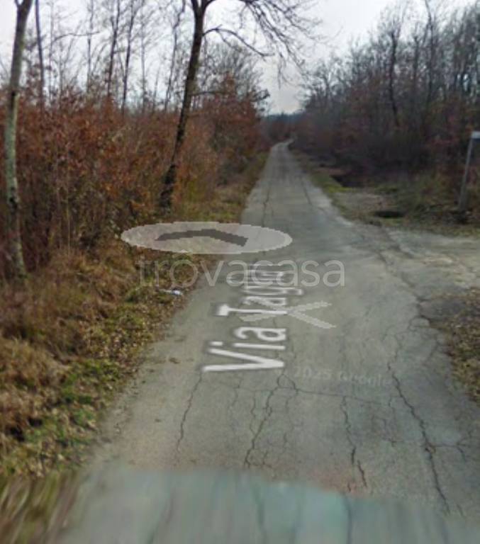 immagine annuncio 3 di 11