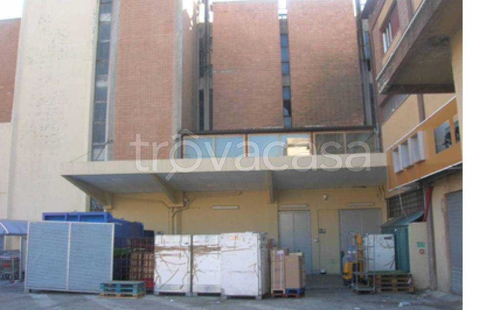 immagine annuncio 5 di 11