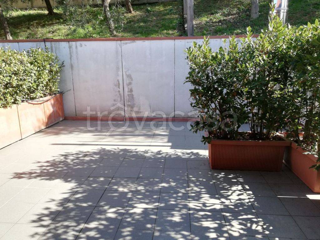 immagine annuncio 9 di 13