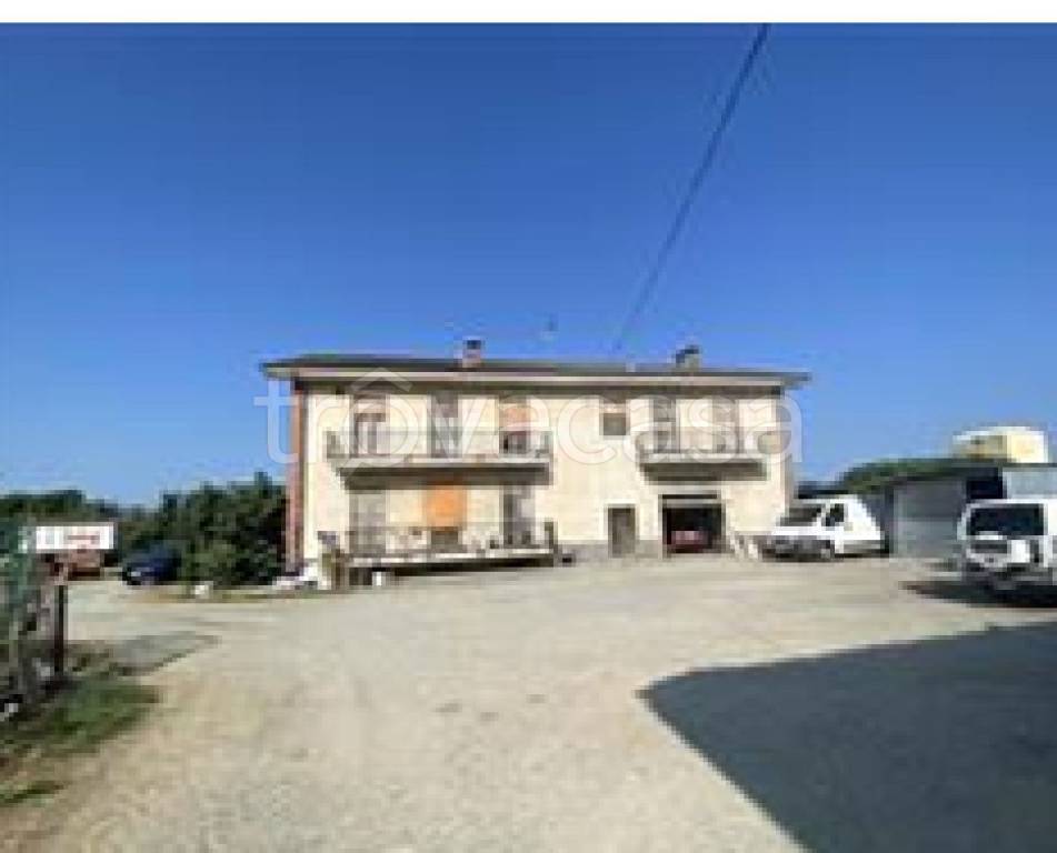 immagine annuncio 10 di 11