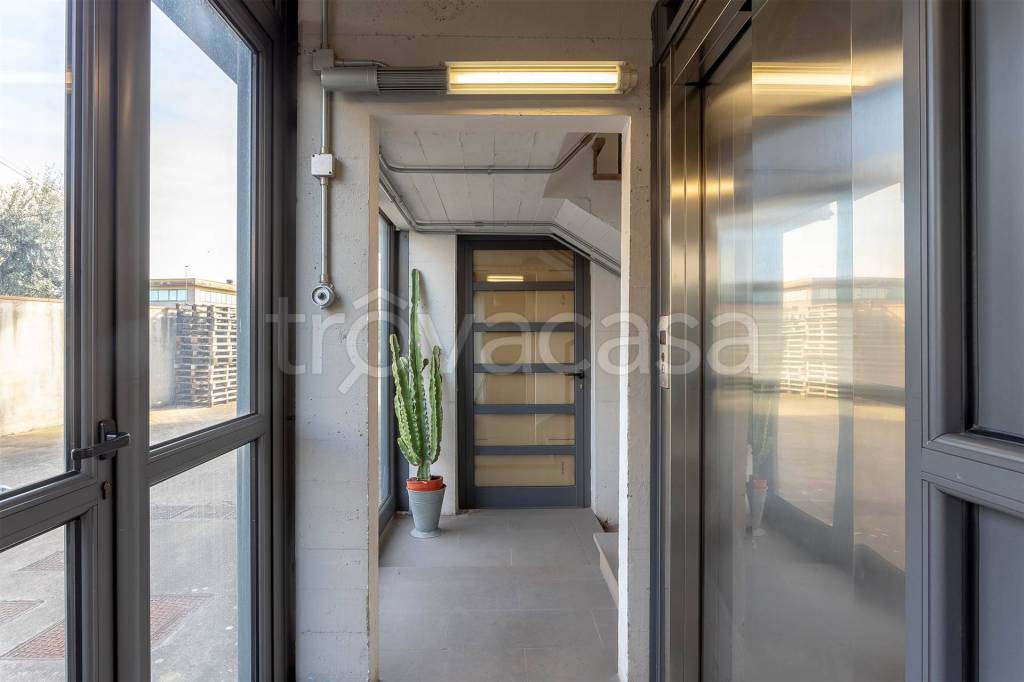 immagine annuncio 12 di 13