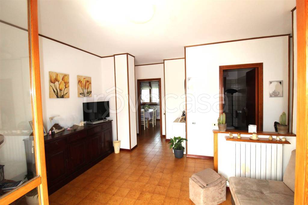 immagine annuncio 1 di 14