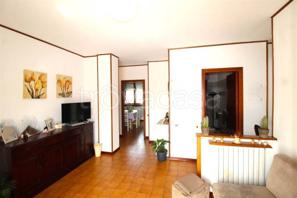 immagine annuncio 2 di 14