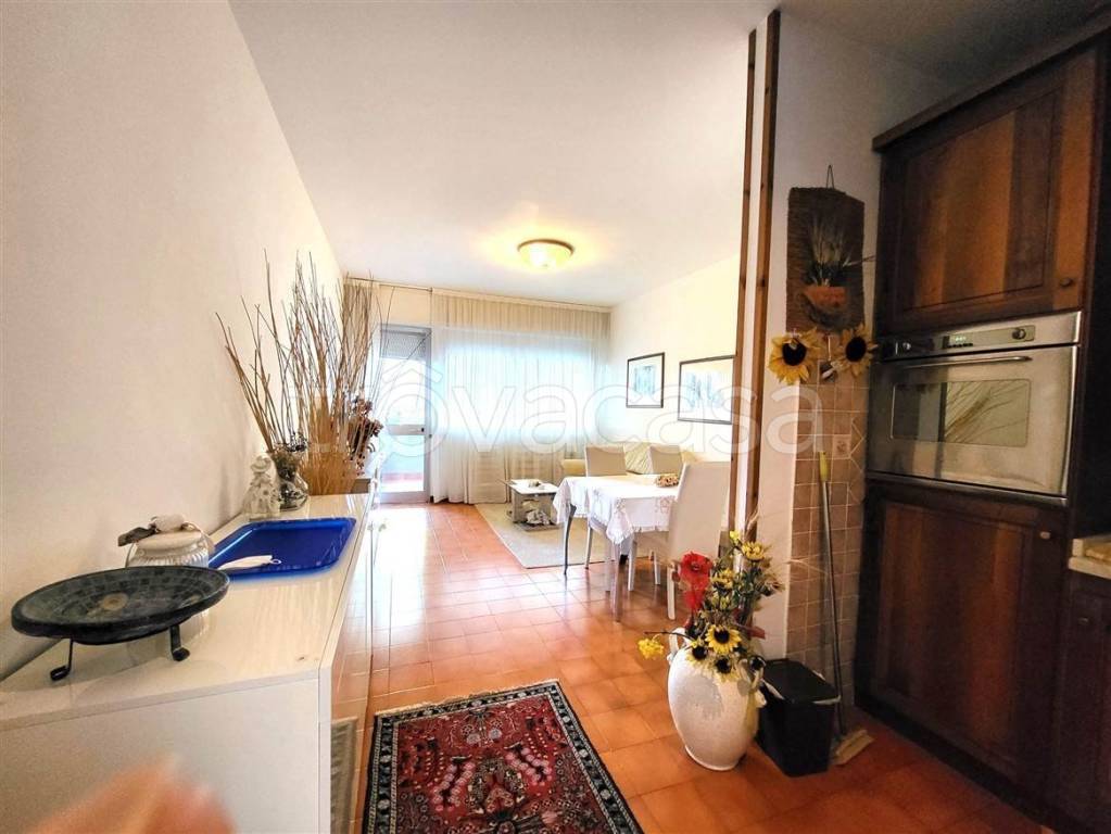 immagine annuncio 1 di 14