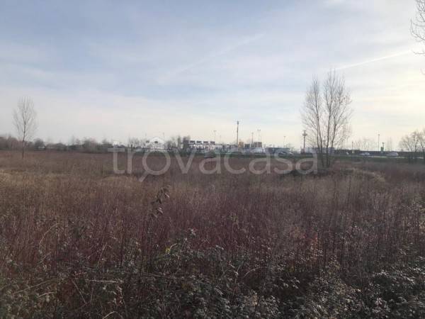 immagine annuncio 9 di 13