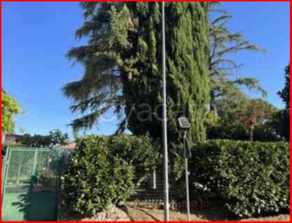 immagine annuncio 3 di 13