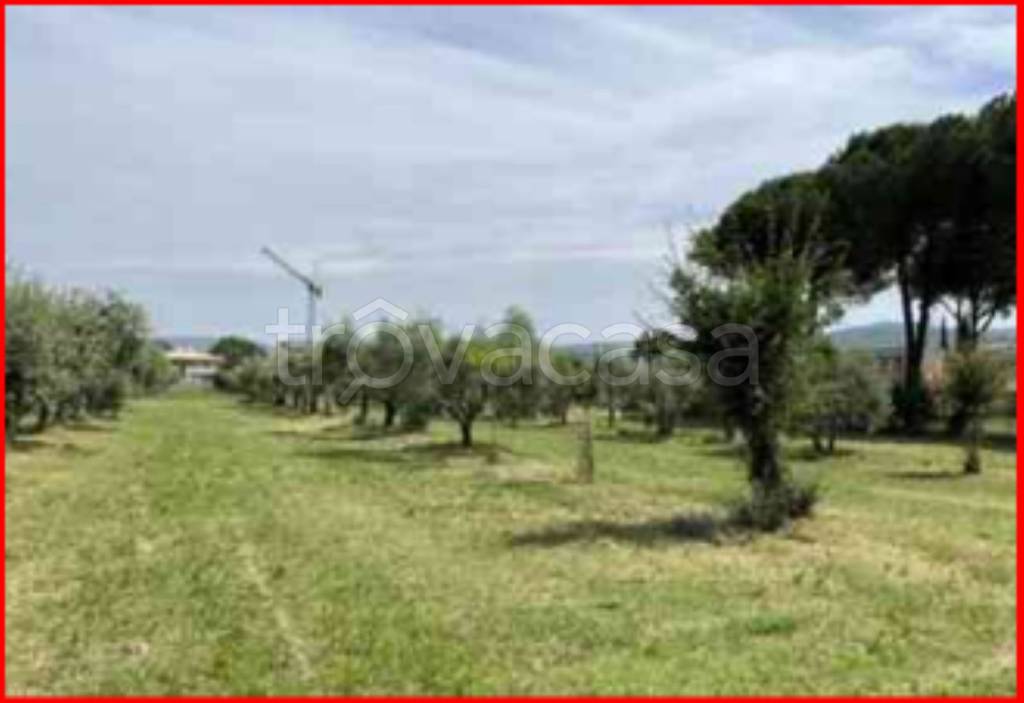 immagine annuncio 9 di 13
