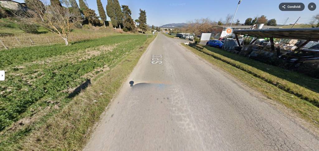 immagine annuncio 7 di 9