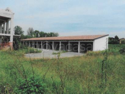 immagine annuncio 4 di 13