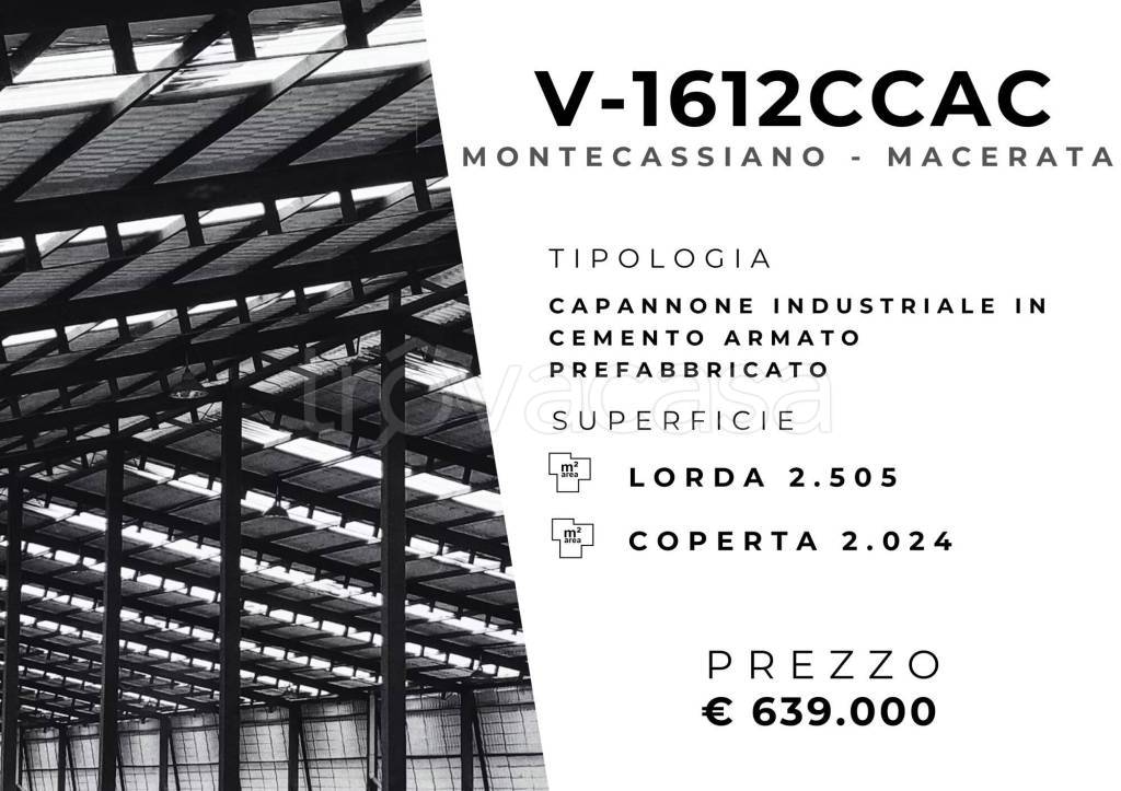 immagine annuncio 1 di 11