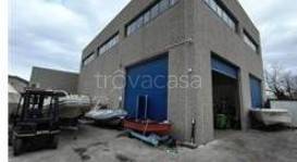 immagine annuncio 2 di 7