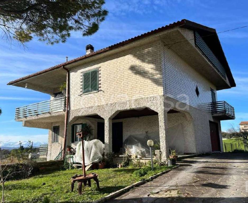 immagine annuncio 2 di 12