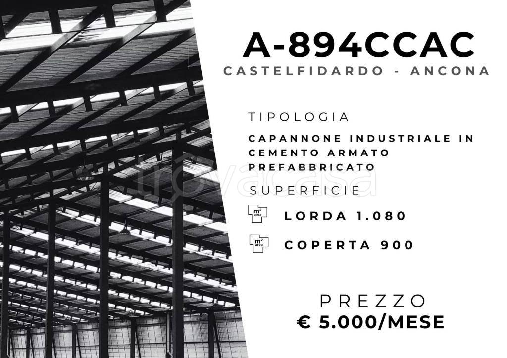 immagine annuncio 1 di 11