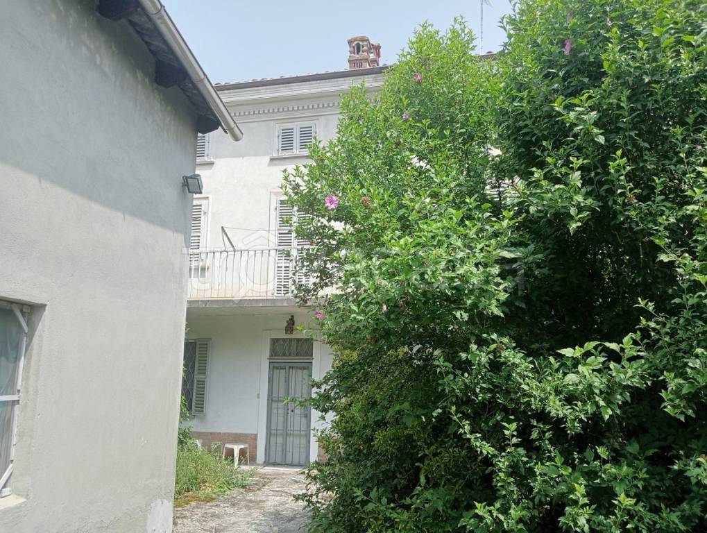 immagine annuncio 1 di 14