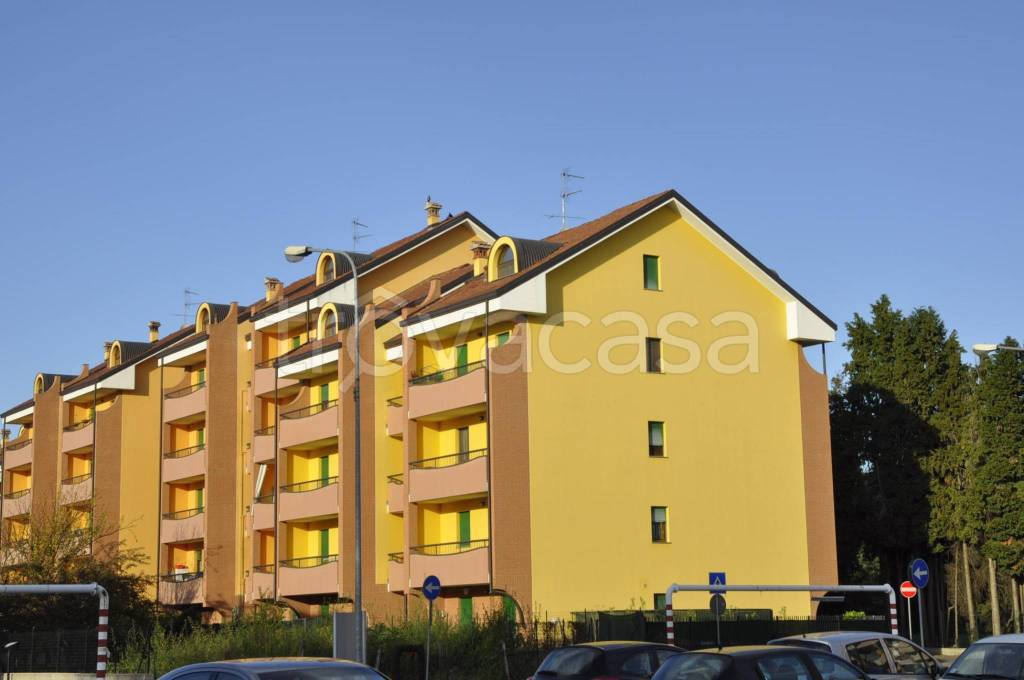 immagine annuncio 3 di 15