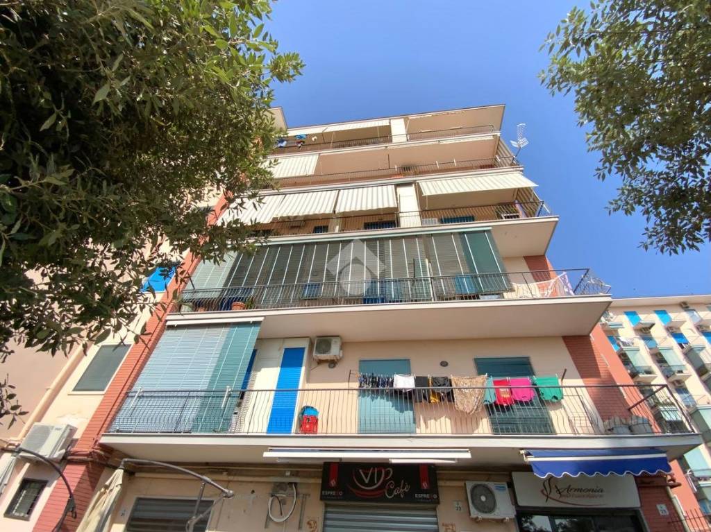 immagine annuncio 3 di 13