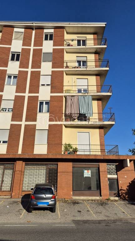 immagine annuncio 11 di 12