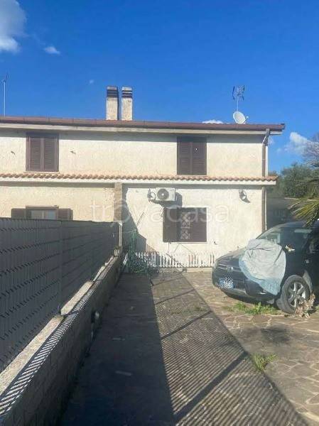 immagine annuncio 4 di 12