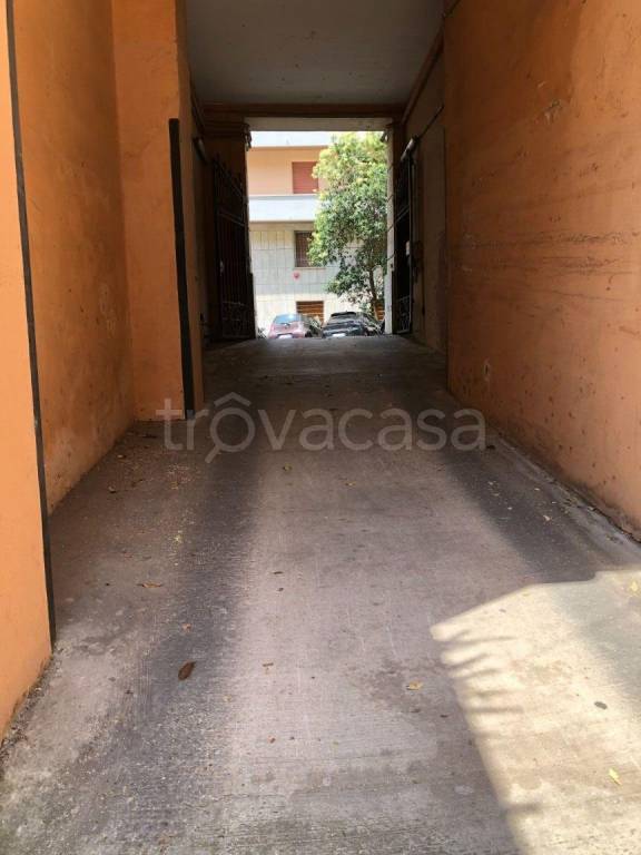 immagine annuncio 12 di 14