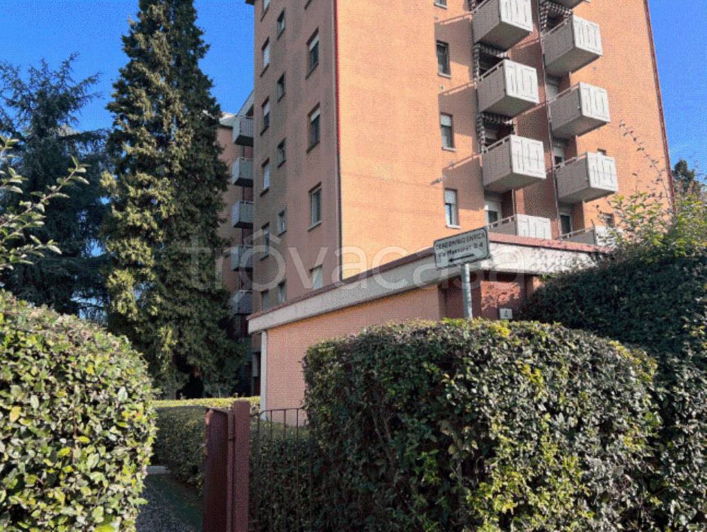 immagine annuncio 3 di 6
