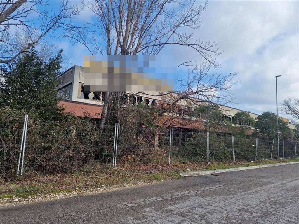 immagine annuncio 1 di 11