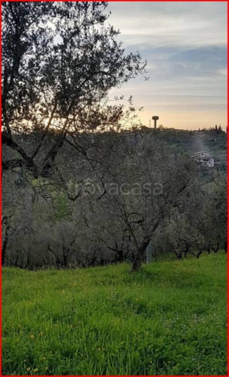 immagine annuncio 2 di 12
