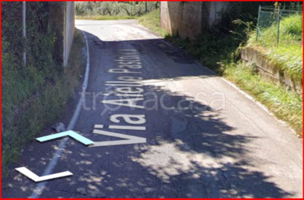 immagine annuncio 5 di 12
