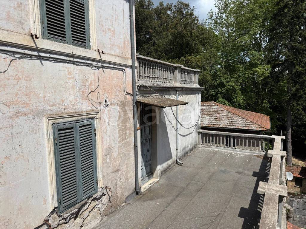 immagine annuncio 6 di 14