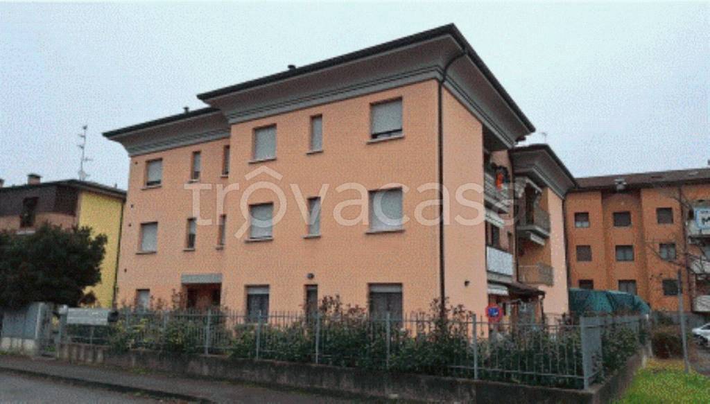 immagine annuncio 3 di 12
