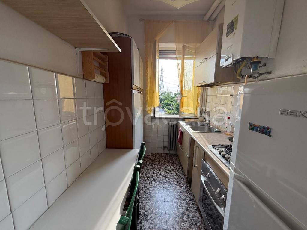 immagine annuncio 7 di 13